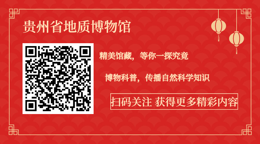 新年春节喜庆中国风关注二维码 (1).png